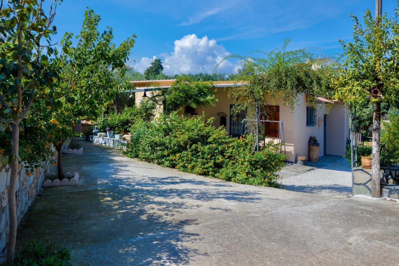 The Olive House Villa Kondomarion Ngoại thất bức ảnh